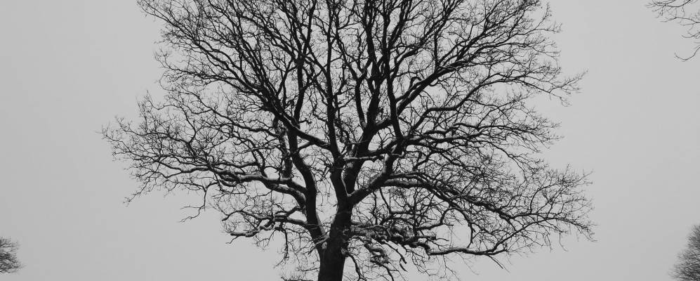 
            Фотография Клаусдорфа