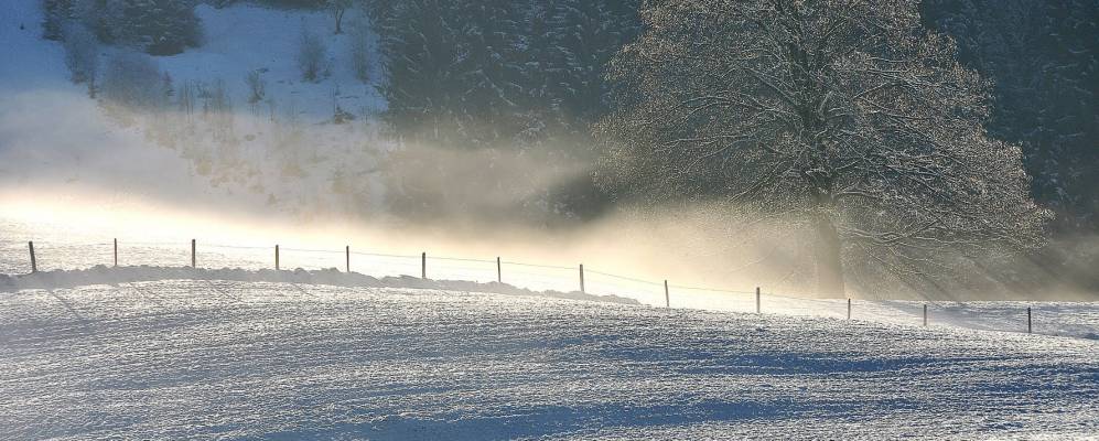 
            Фотография Майерхофена