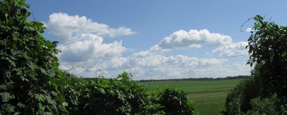 
            Фотография Дубасово