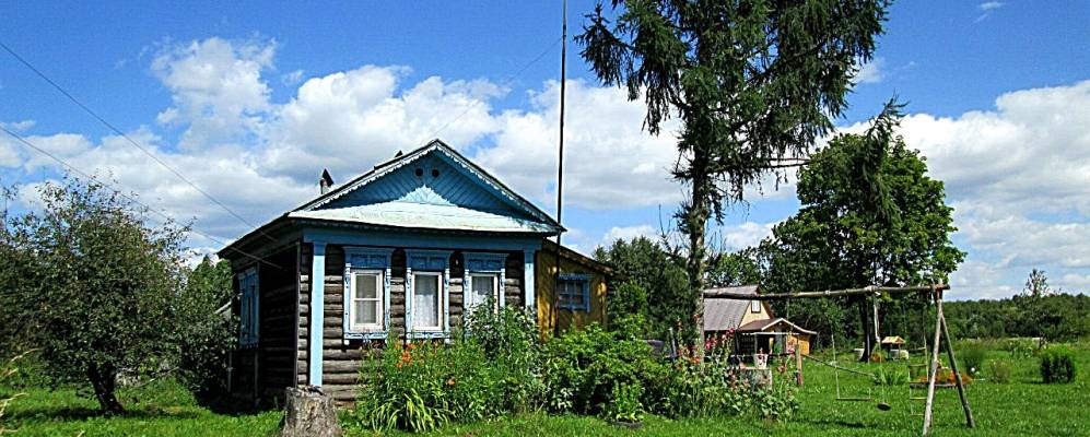 
            Фотография Хвощей