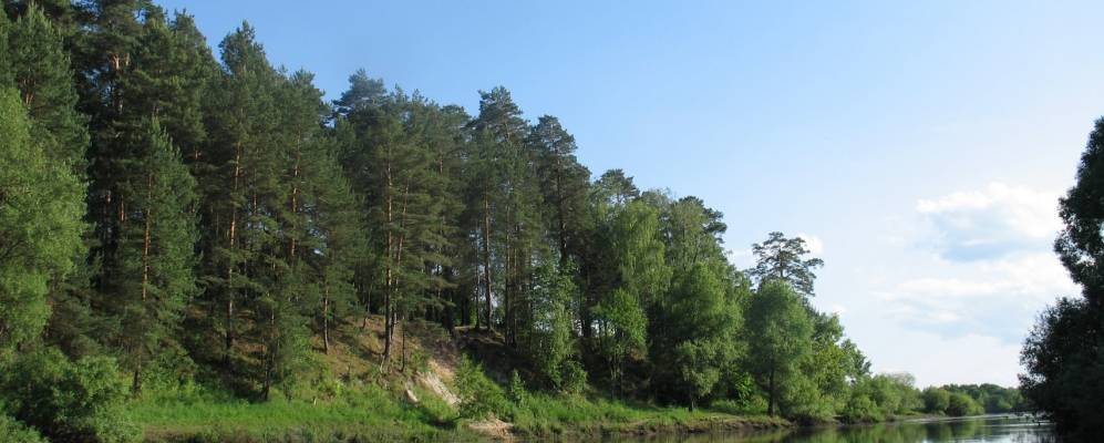 
            Фотография Вышковичей