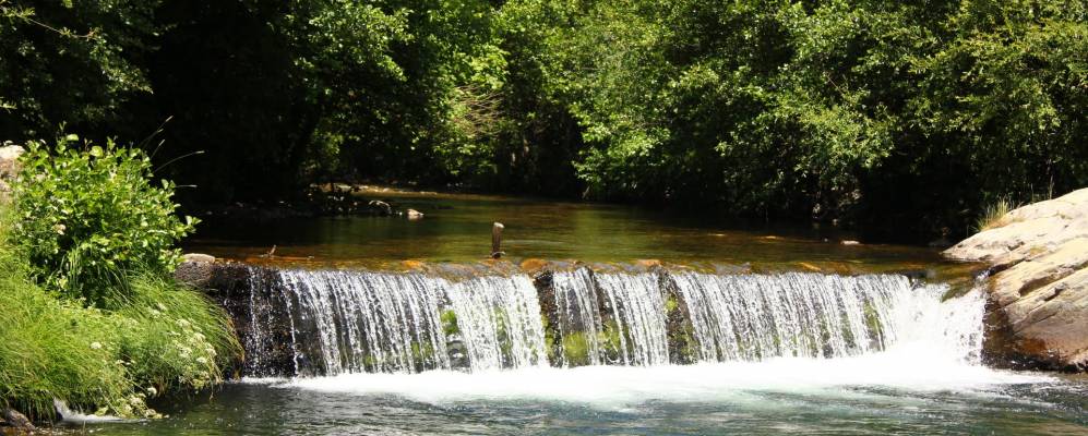 
            Фотография Игены