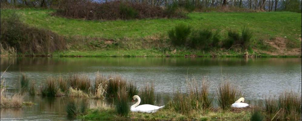 
            Фотография Вужи