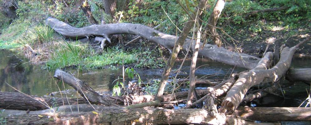 
            Фотография Вязковского