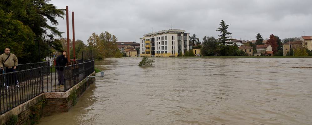 
            Фотография Ваццолы