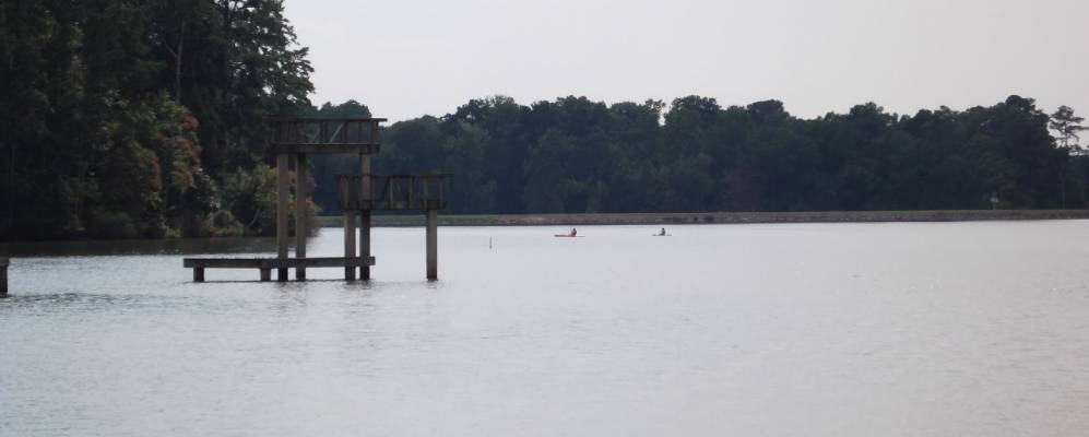 
            Фотография Мортона