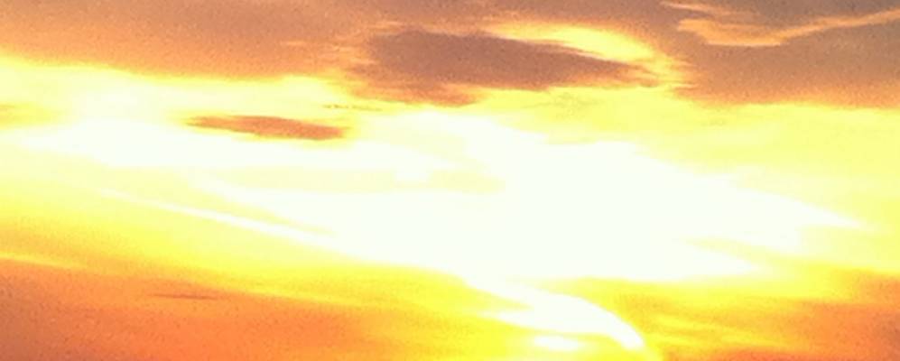 
            Фотография Мисато