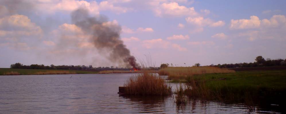 
            Фотография Братского