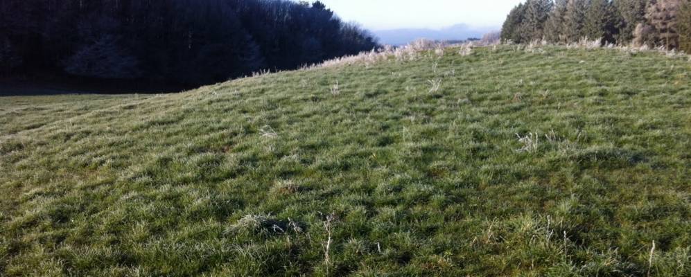 
            Фотография Фавара