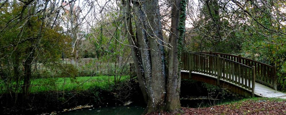 
            Фотография Метрэ