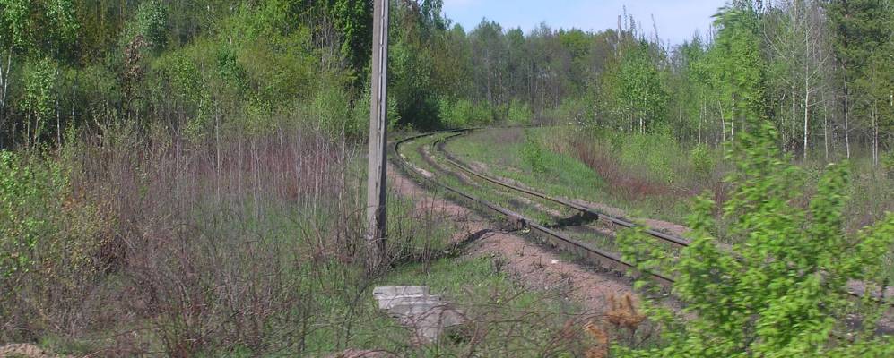 
            Фотография Дружбовки