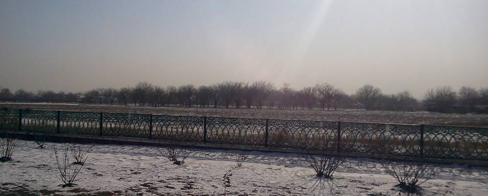 
            Фотография Солидарного