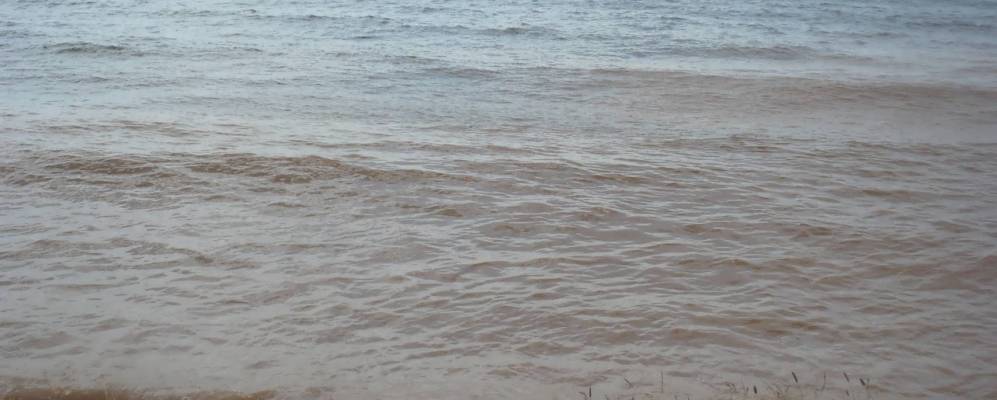 
            Фотография Опалихи