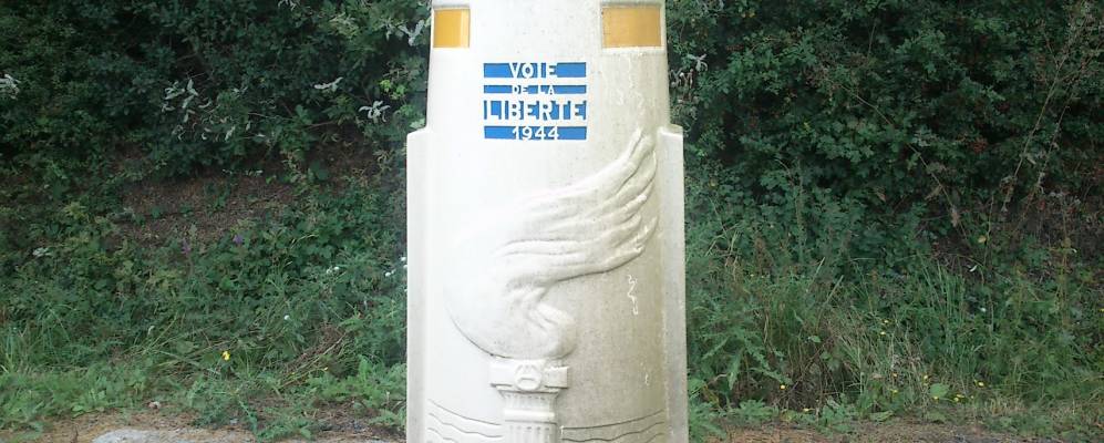 
            Фотография Ружа