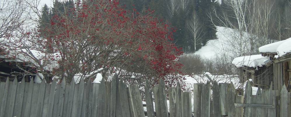 
            Фотография Якимово