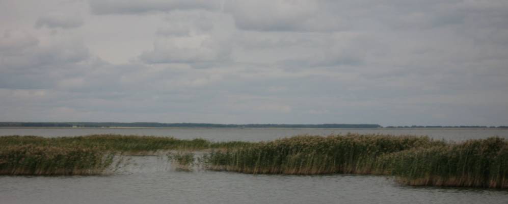 
            Фотография Звездино