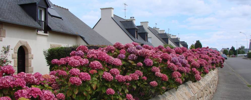 
            Фотография Этабль-сюр-Мэ