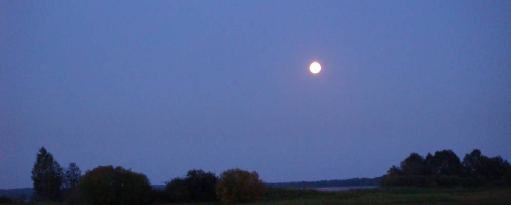 
            Фотография деревни Большие Новишки