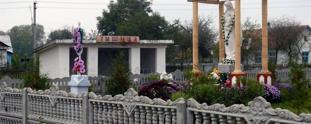 
            Фотография Тышицы