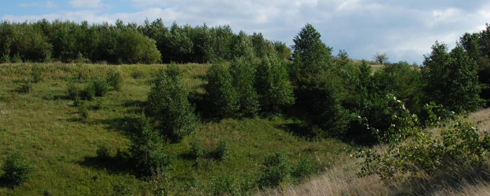 
            Фотография Шпиколос