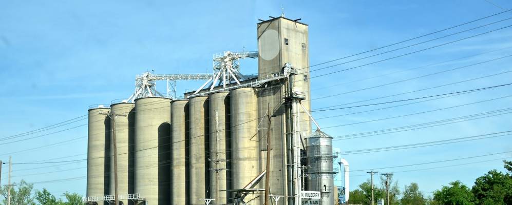 
            Фотография Декстера