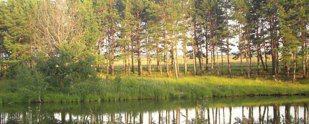 
            Фотография Барашево