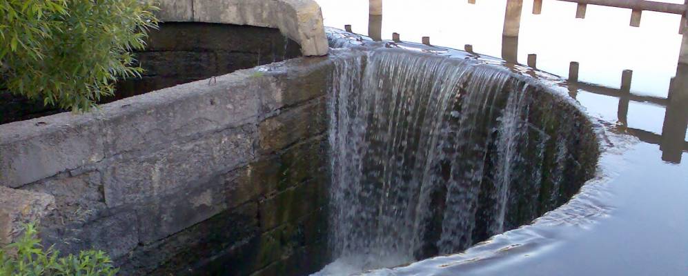 
            Фотография Ромашковки