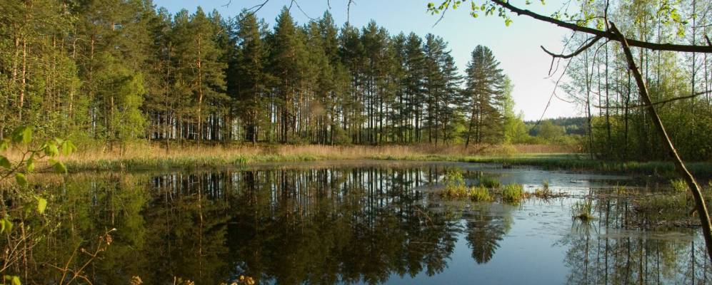 Фотография Михeйковo