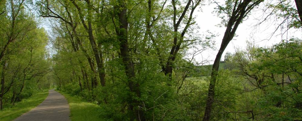 
            Фотография Саус Ливана