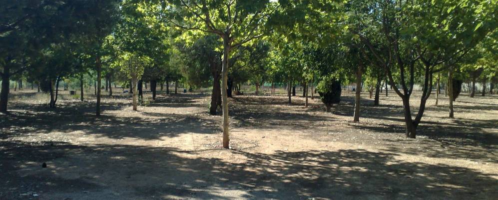 Фотография Честе