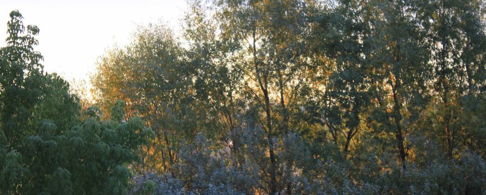 
            Фотография Нучарово