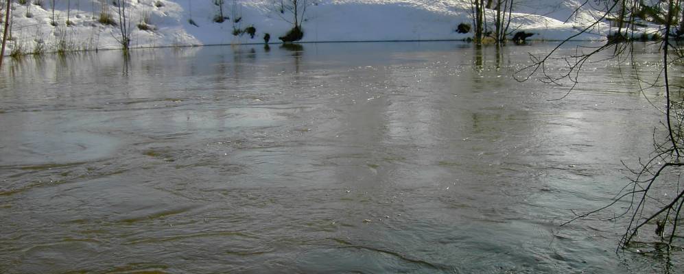 
            Фотография Нового