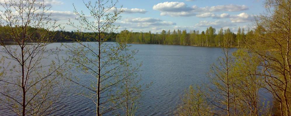 
            Фотография Шилово