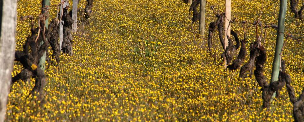 
            Фотография Ле-Марша