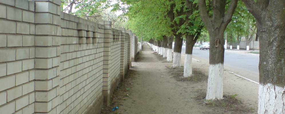 Фотография Магдалиновки