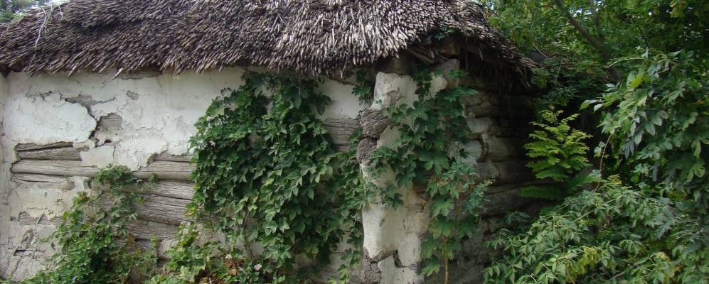 
            Фотография Луковской