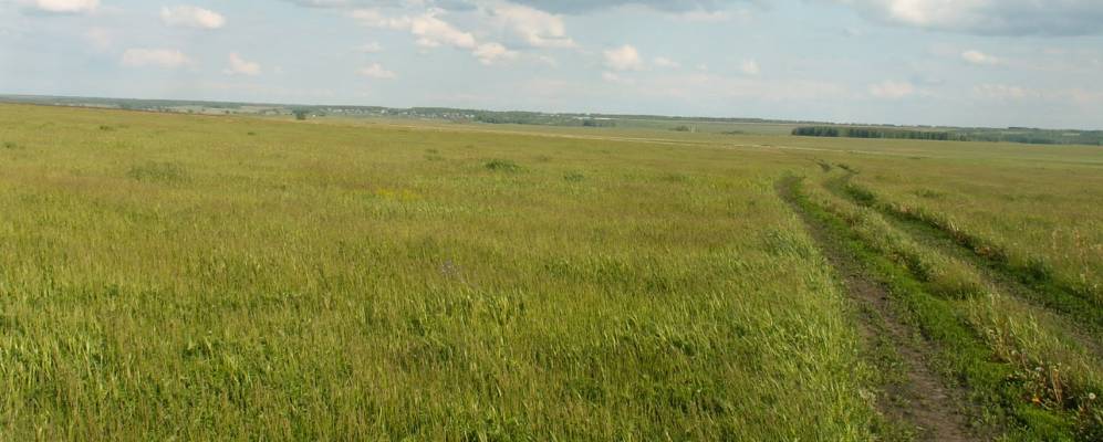 
            Фотография Мирного