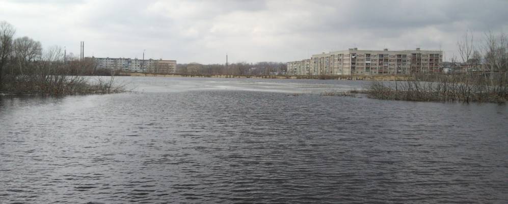 
            Фотография Лесного