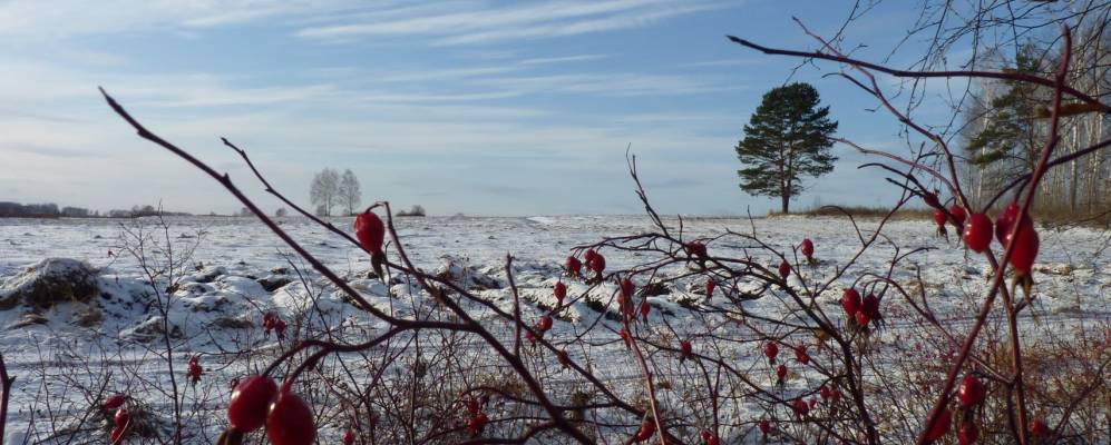 
            Фотография Кадочникова