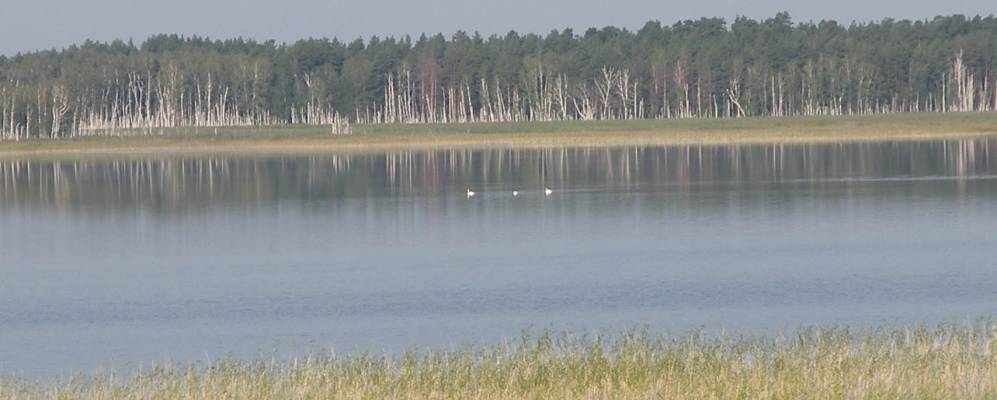 
            Фотография Лесных Горок