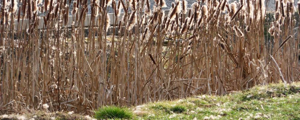 
            Фотография Сент-Консорса