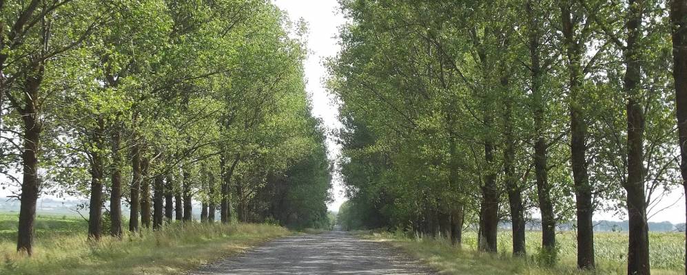 
            Фотография Маруси