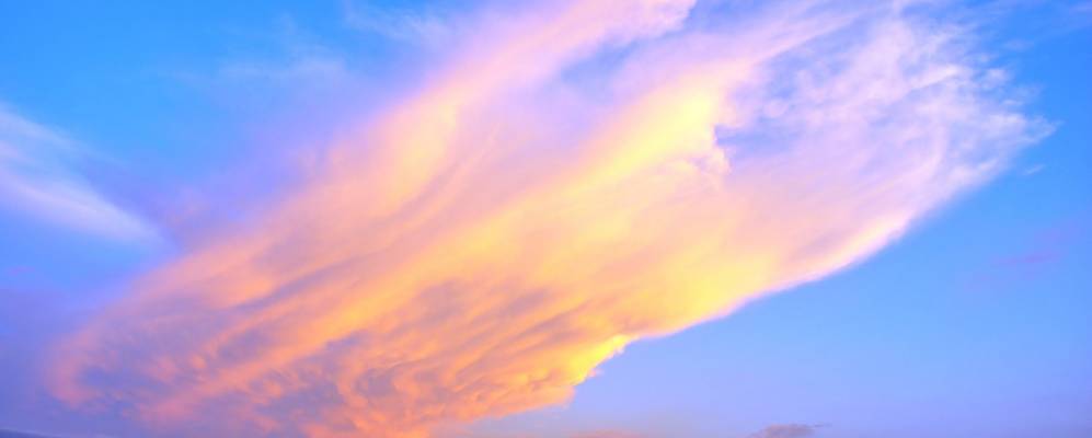 Фотография Молдаванского