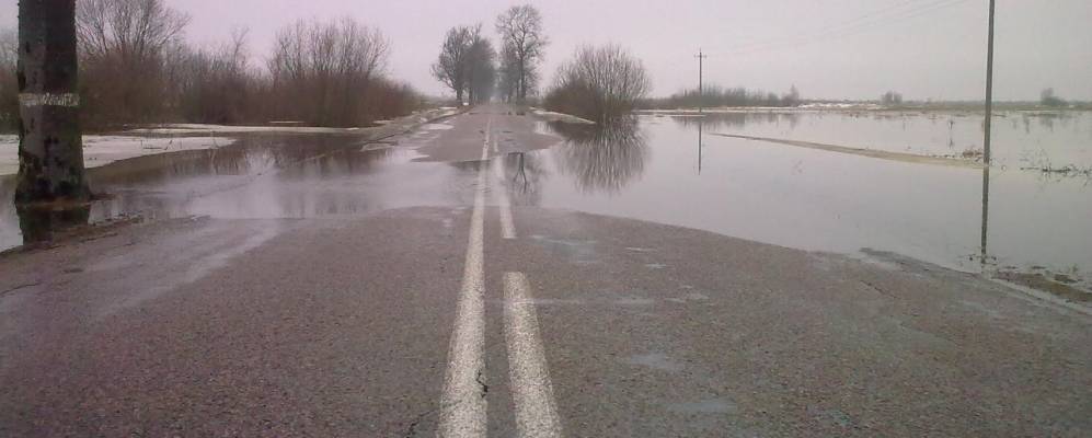 
            Фотография Солонцов