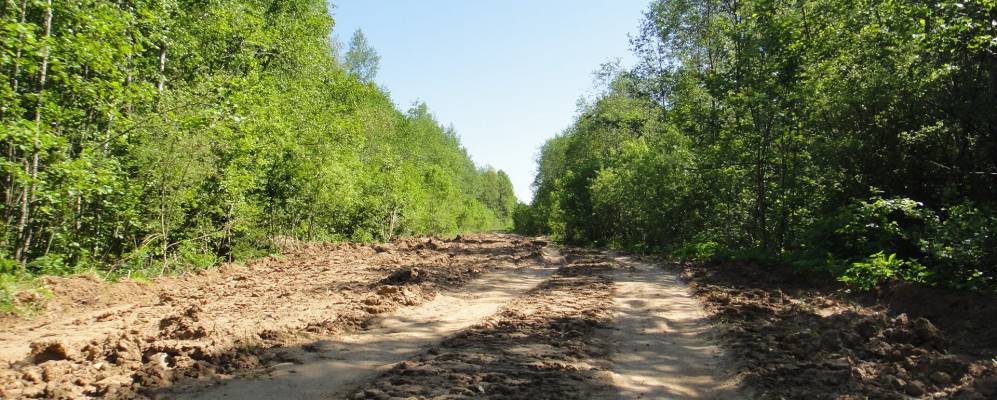 
            Фотография Чальцево
