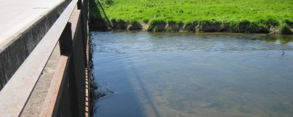 
            Фотография Руссолово