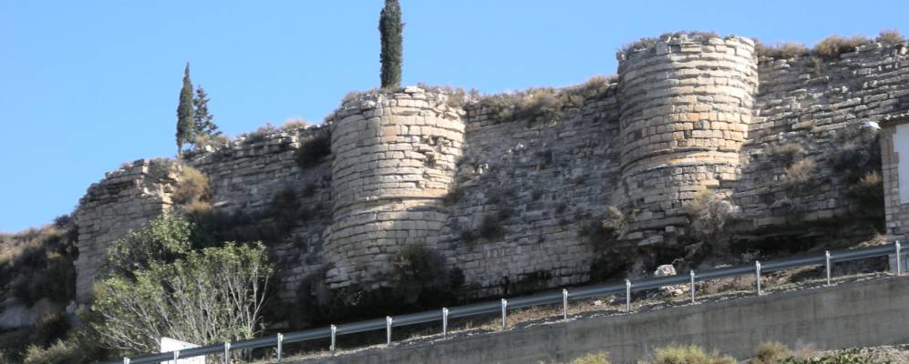 
            Фотография Саиди / Саидина