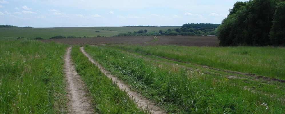 
            Фотография Арсентьево