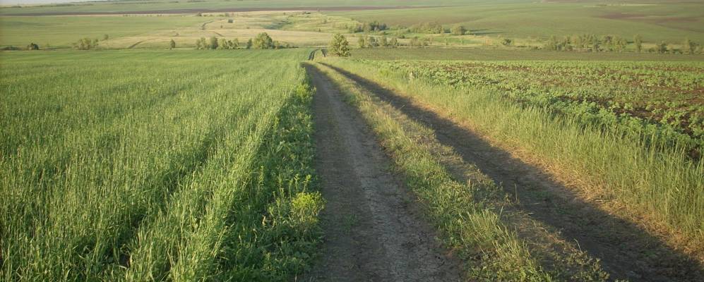 Фотография Веселого