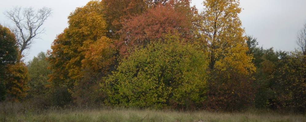 
            Фотография Николаевки